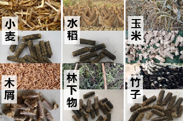 CGPAYǮ��